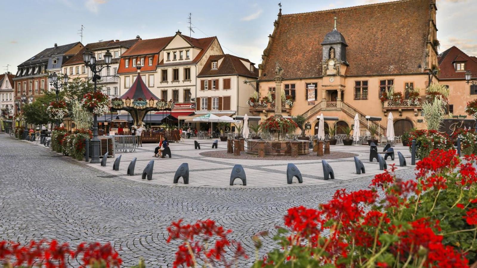 Studio Cosy A Molsheim Calme, Centre-Ville Et Acces Strasbourg Exterior photo